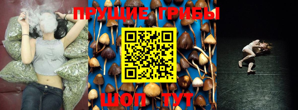 Псилоцибиновые грибы мухоморы  Вход с VPN  Ивантеевка 